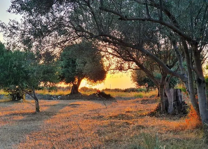 Helios, Kaligata - First Floor *