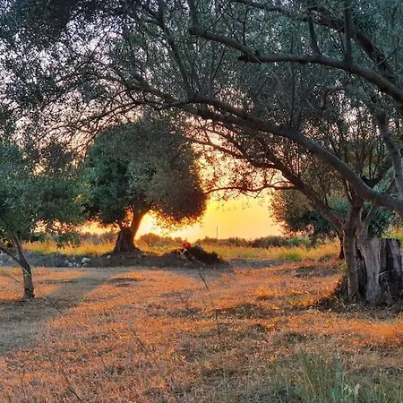 Helios, Kaligata - First Floor *