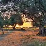 Helios, Kaligata - First Floor *